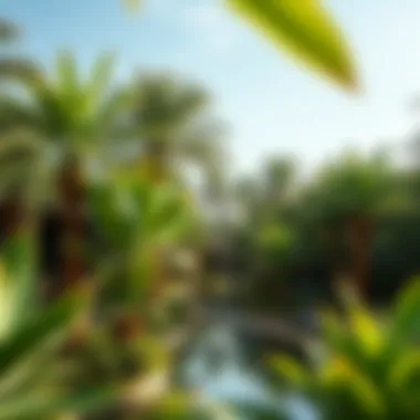 Magnificent Tropical Gardens in Dubai: A Fusion of Nature and Luxury Magnificent Tropical Gardens in Dubai: A Fusion of Nature and Luxury