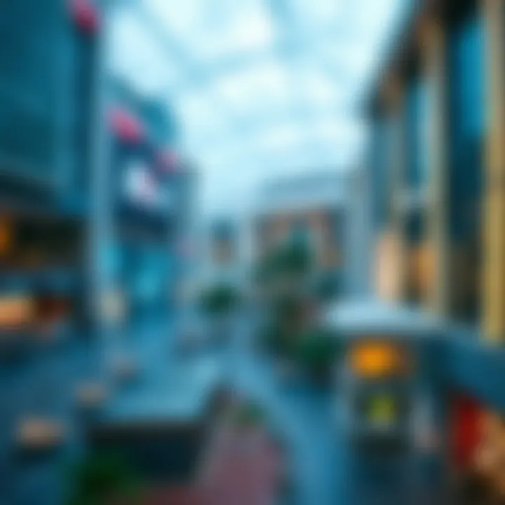 An In-Depth Exploration of Mira Town Centre Summary