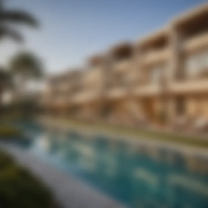 Amenities and recreational facilities within the Damac Lagoon community