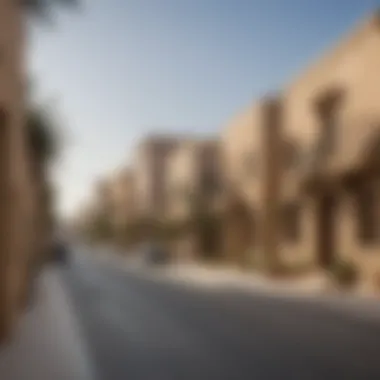 A picturesque street in Al Khawaneej lined with traditional and contemporary homes