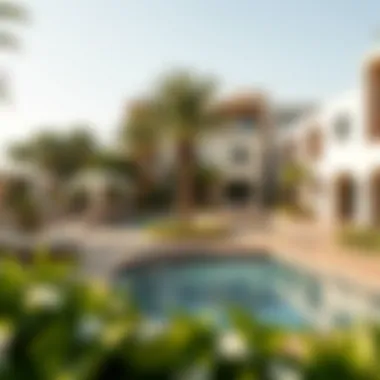 Community amenities available in Damac Camelia such as pool and gardens