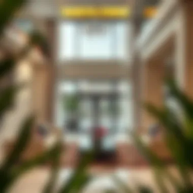 Exploring Damac Hills 2 Townhouse: A Comprehensive Guide Summary