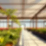 Exploring Greenhouse Concepts at Deira City Center Introduction