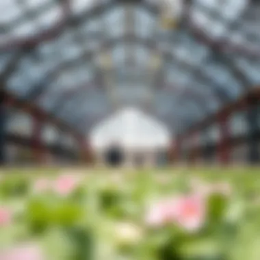 Notable Exploring Greenhouse Concepts at Deira City Center Notable Exploring Greenhouse Concepts at Deira City Center