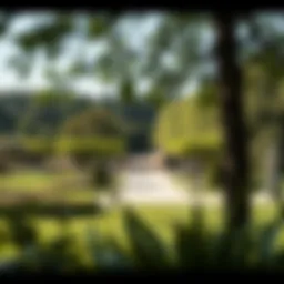 A serene landscape of a royal park showcasing lush greenery and ornamental trees