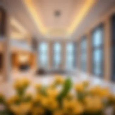Exploring the Dynamics of Circle Jumeirah Islands Summary Exploring the Dynamics of Circle Jumeirah Islands Summary