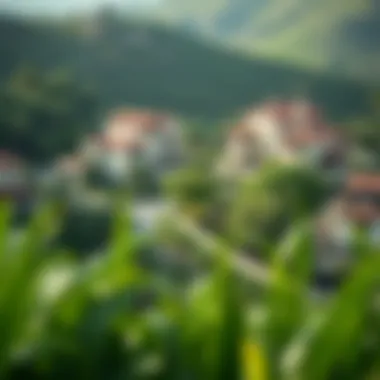 Lush green landscape surrounding townhouses in Dubai Hills