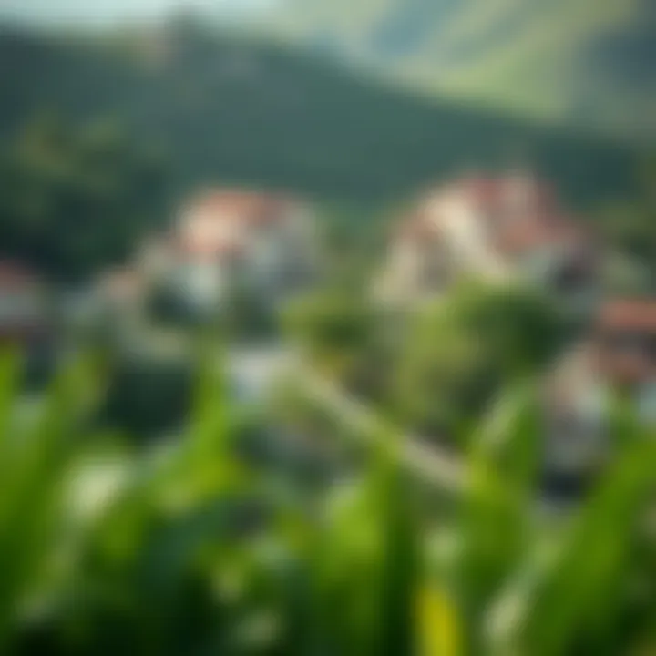 Lush green landscape surrounding townhouses in Dubai Hills