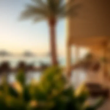 Notable Insights into Portofino Damac Lagoons: A Luxurious Oasis in Dubai Notable Insights into Portofino Damac Lagoons: A Luxurious Oasis in Dubai