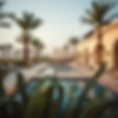 Community amenities at Jebel Ali Palm Villas featuring a serene pool area and landscaped gardens