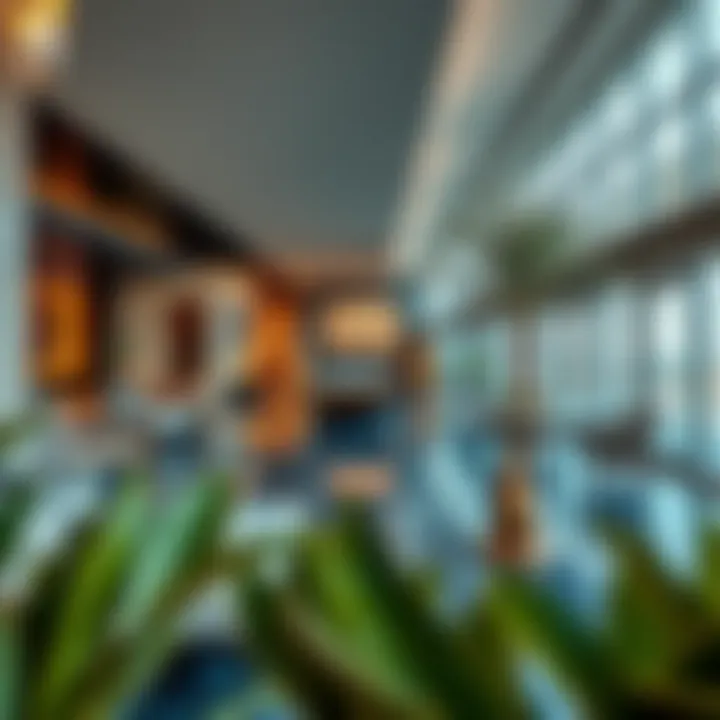 Lavish amenities offered in Mirador community