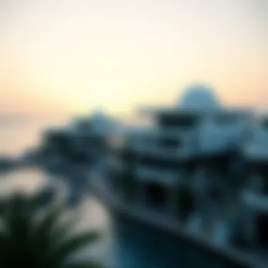 Notable Understanding House Prices on Palm Jumeirah Island Notable Understanding House Prices on Palm Jumeirah Island