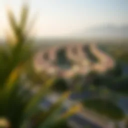 Aerial view of Palmera community showcasing lush landscapes