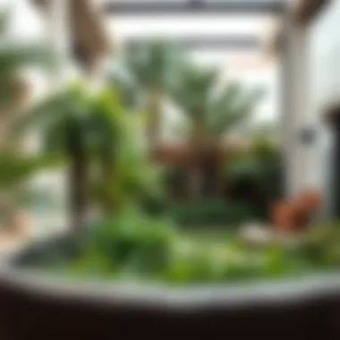 Close-up of lush greenery and landscaped gardens in a Dubai villa